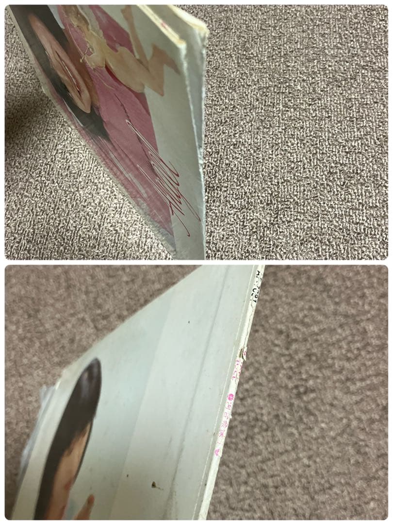 河合奈保子　レコード　プロマイド　パンフレット　写真集　DVD 缶ペンなど