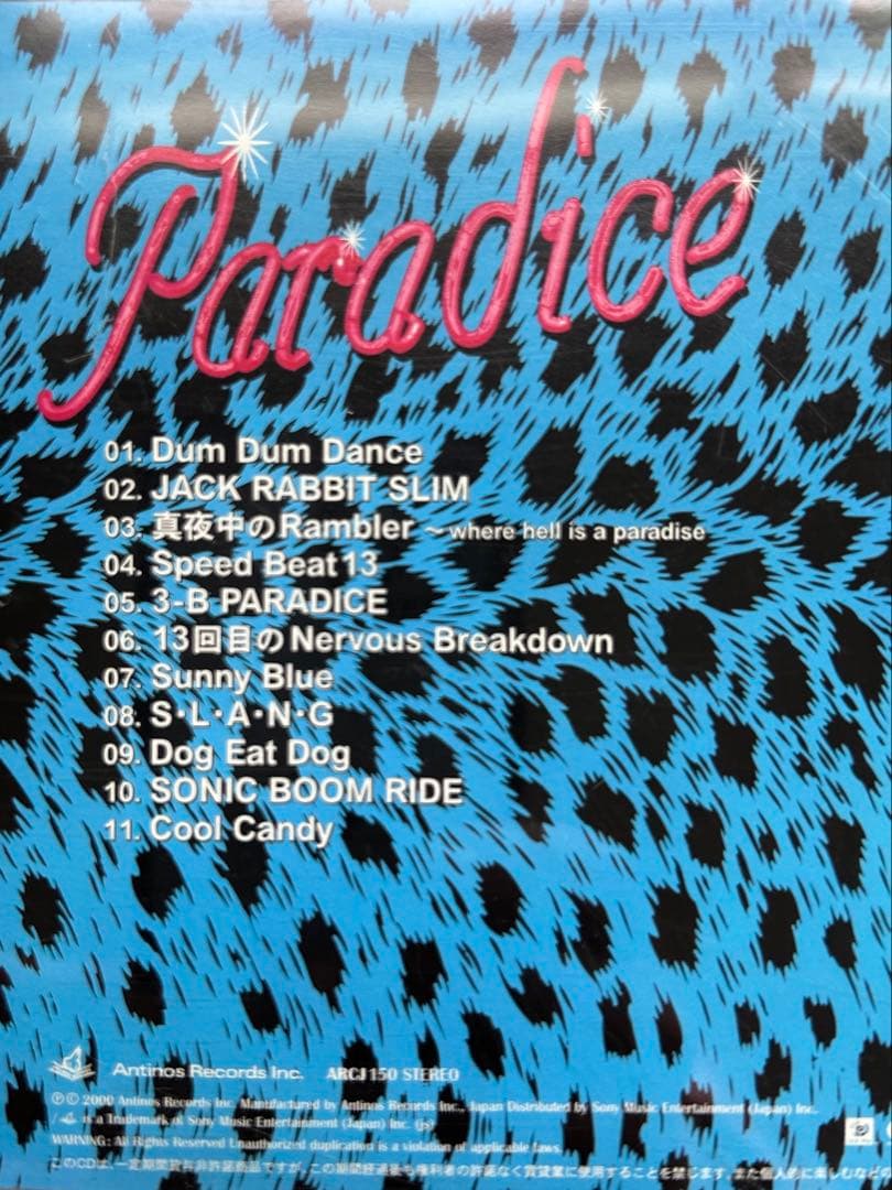 激レア森山達也監督映画 paradice DVD + MODS サウンドトラック