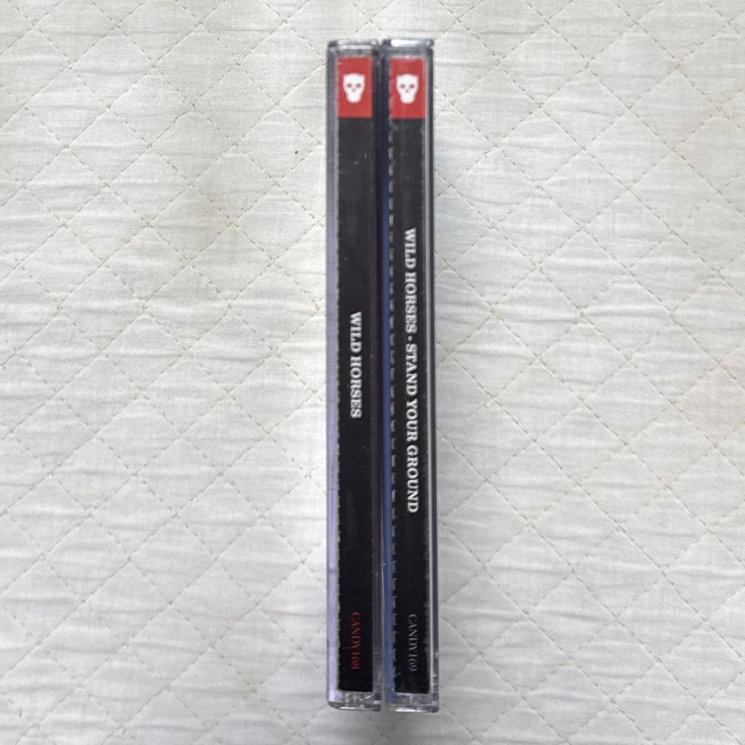 リマスター盤！WILD HORSES & STAND YOUR GROUND