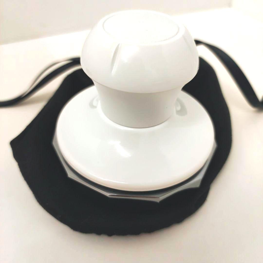 【限定販売】テラタイト パワープレート プロ マッサージプレート