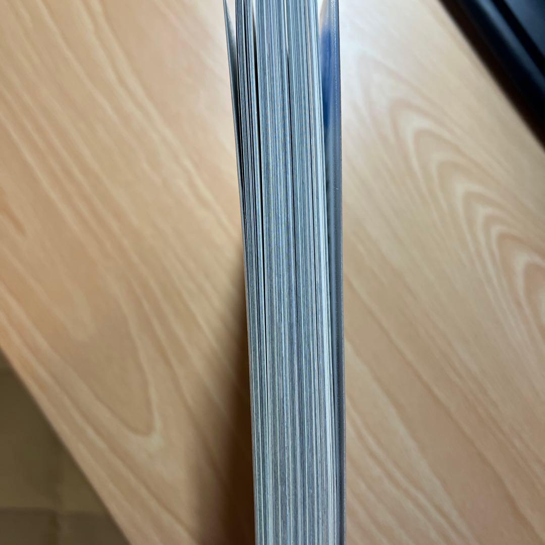 BATMAN 80 YEARS OF THE BAT FAMILY バットマン