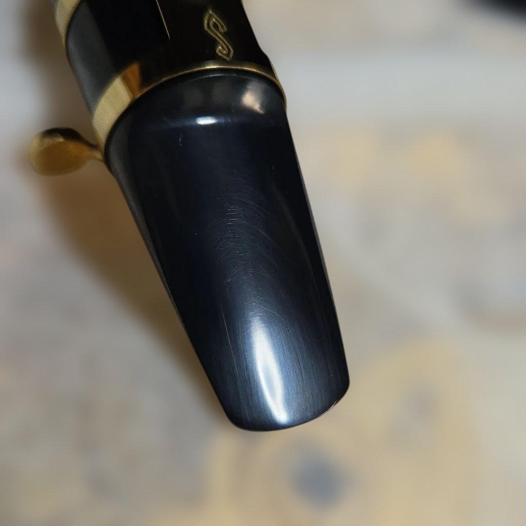 アルトサックス 初心者セット 入門用 E Saxophone 吹奏楽