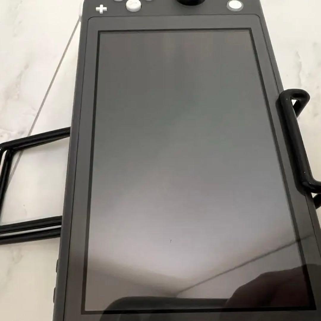 【ジャンク美品】Nintendo Switch Lite グレー ケースつき