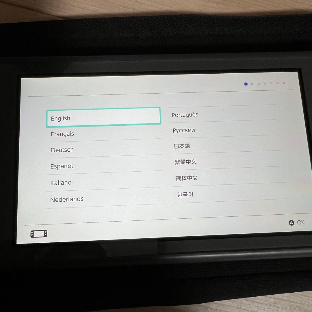 【ジャンク美品】Nintendo Switch Lite グレー ケースつき