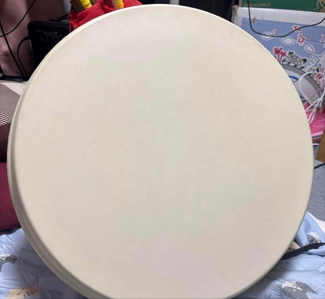 その他 Taiko force