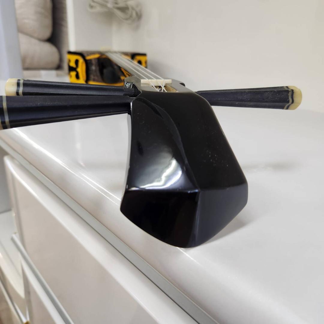 ★三線　琉線　RS-100　沖縄三線　ソフトケース付き