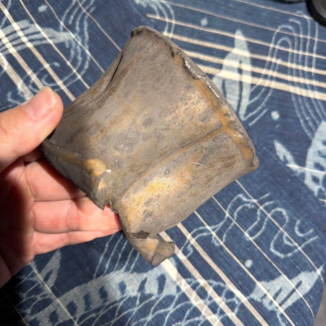 細川政己　陶器鉢　捲れ鉢　ブラウン　中古