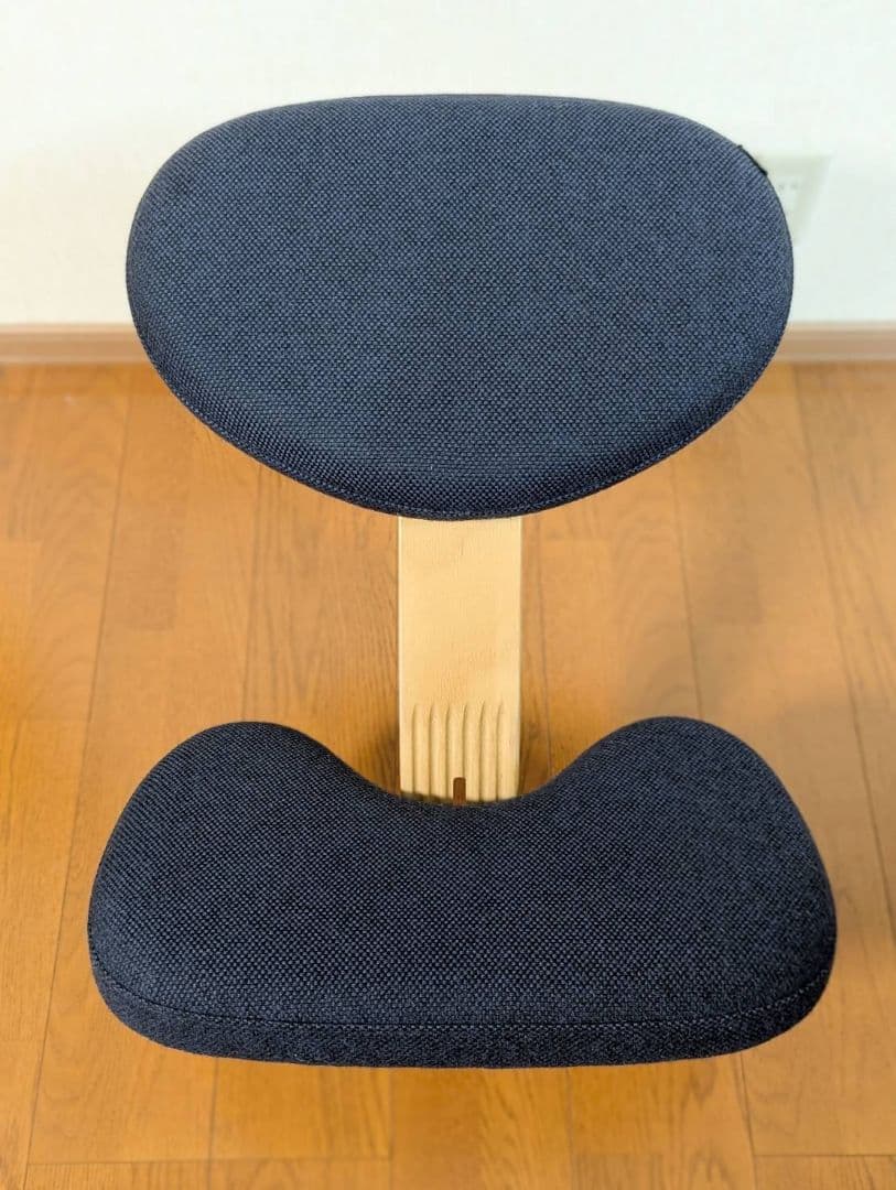 【pupus】バランスイージー バランスチェア ネイビー 姿勢改善