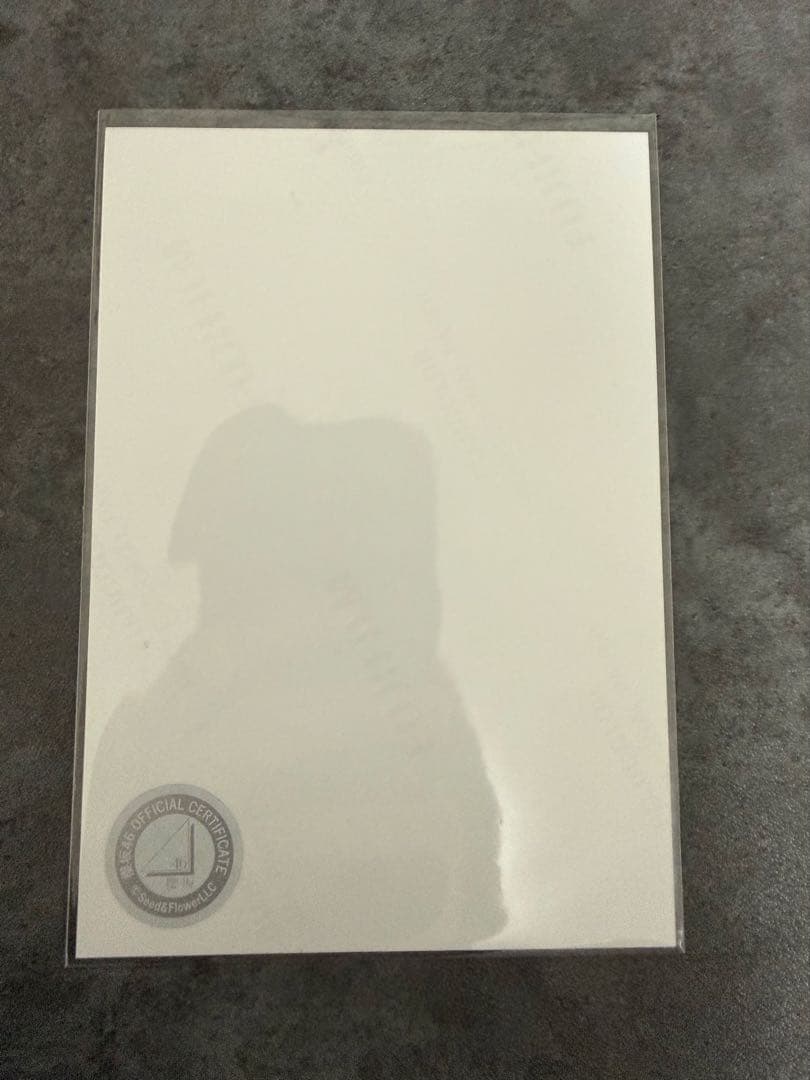 櫻坂46森田ひかる 生写真 直筆 サイン ヒキ 4th Anniversary