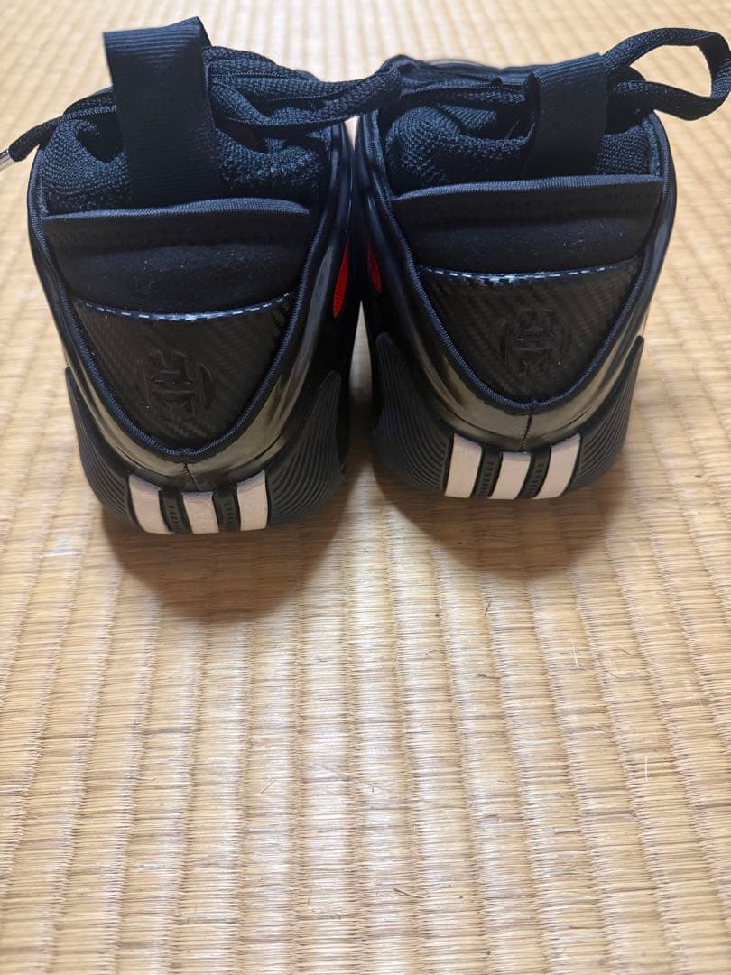 バスケットボールシューズ ブラック/レッド