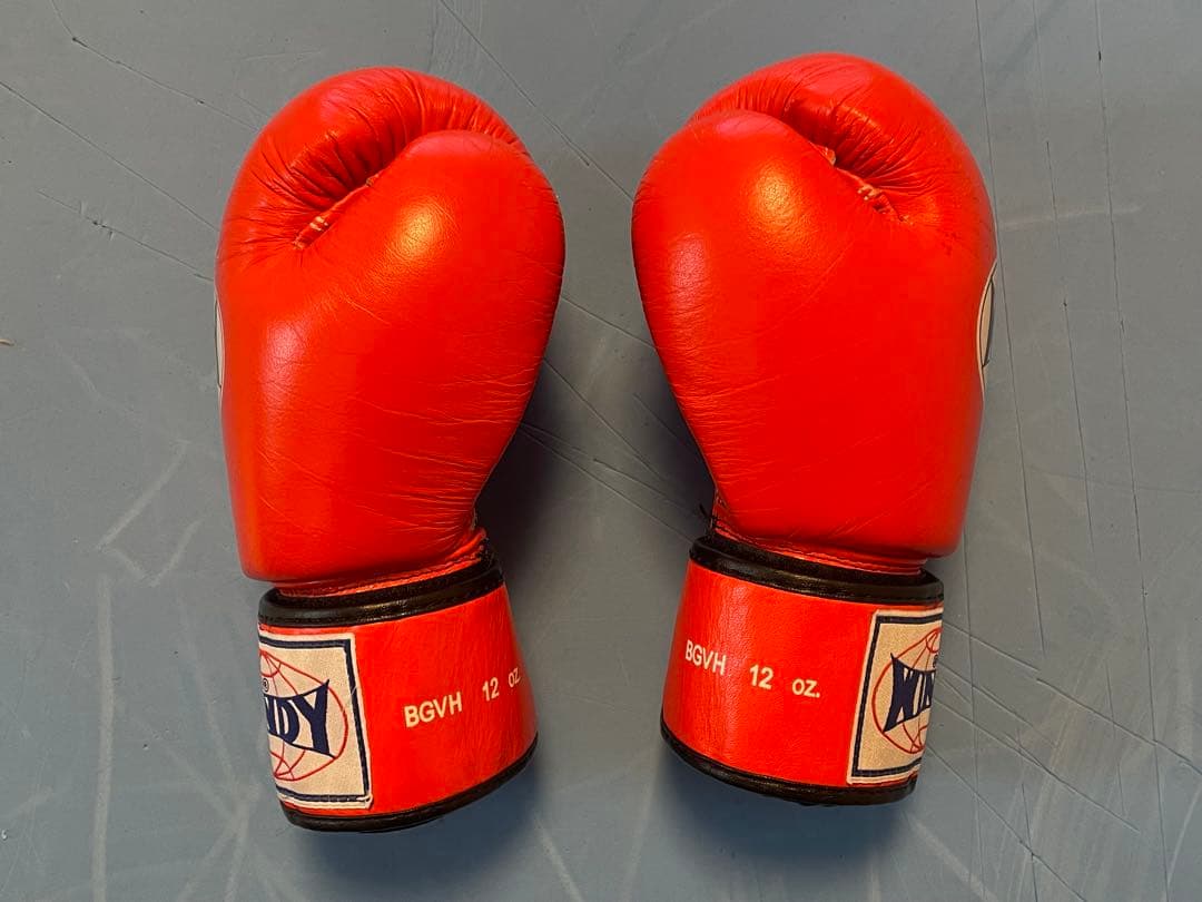 【海】WINDY 12oz ボクシンググローブ