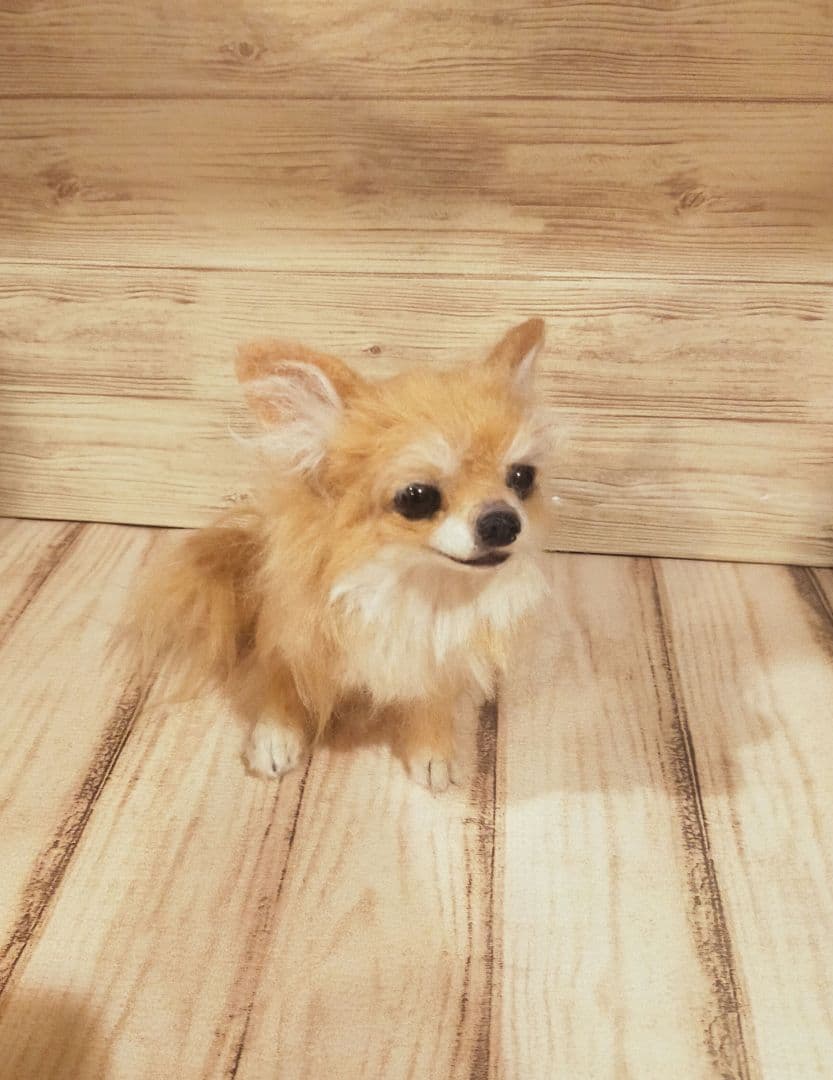 羊毛フェルト　ハンドメイド　犬　チワワ