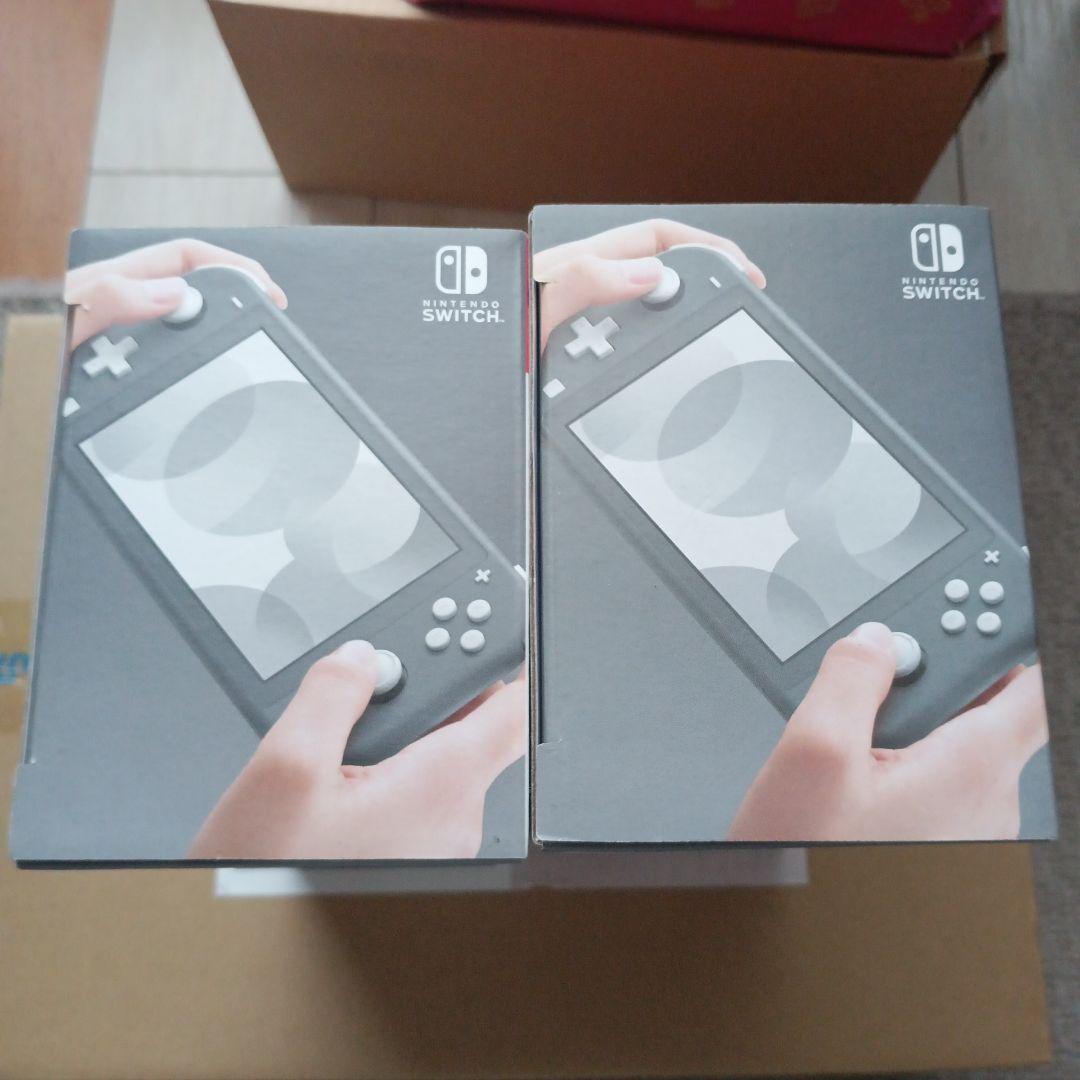 Switchライト　2台セット