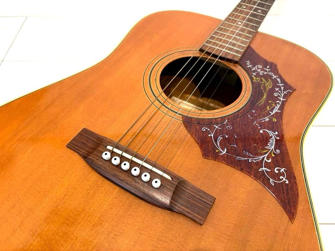 roje メイプル　ハミングバード　アコースティックギター　アコギ