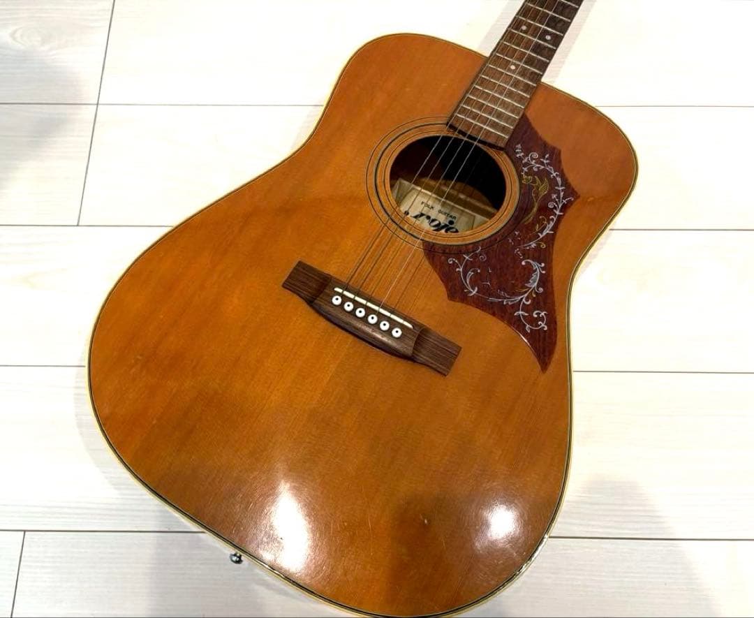 roje メイプル　ハミングバード　アコースティックギター　アコギ