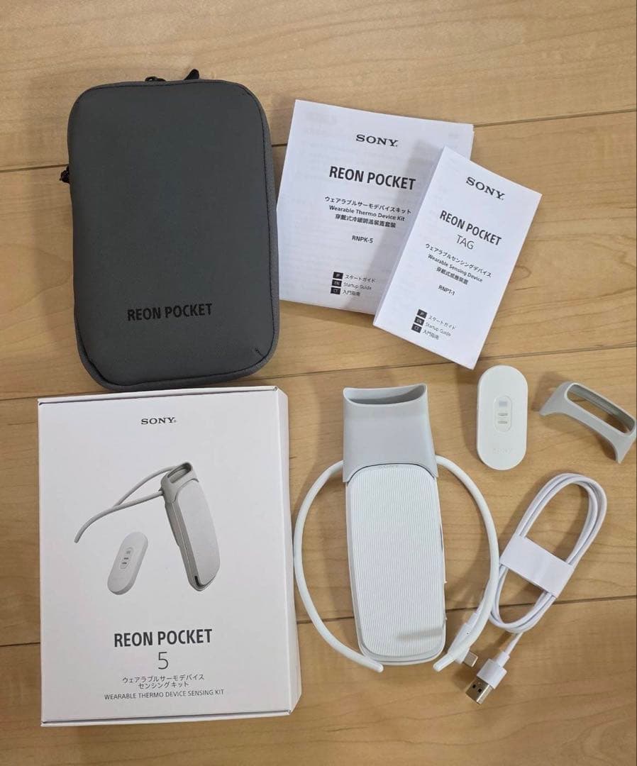 【美品】REON POCKET 5 (レオンポケット5)　純正の専用ケース付き