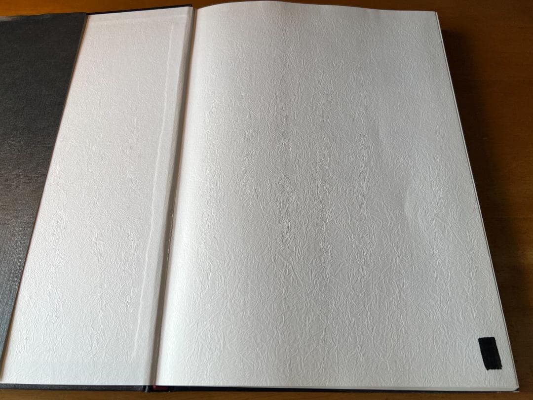 キャンベル整形外科手術書 第2巻 切断術/感染症/腫瘍