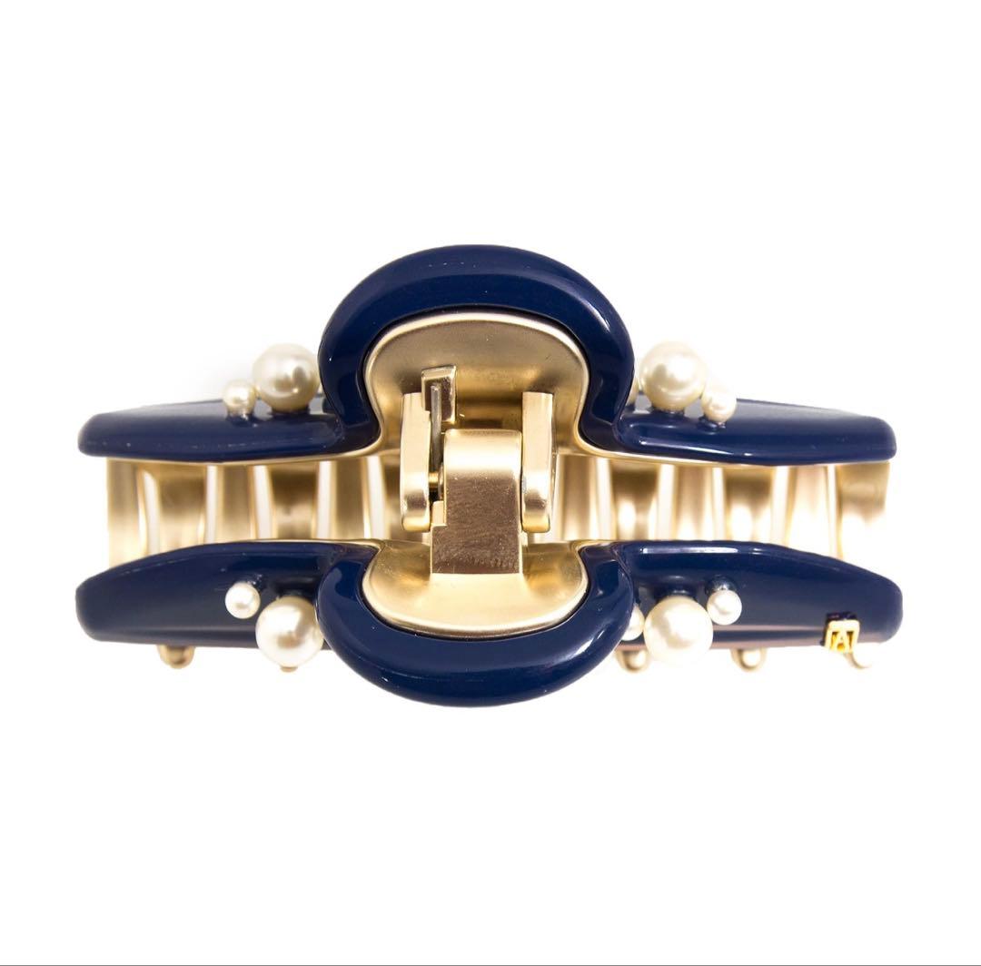 【即日発送・激レア品】ALEXANDRE DE PARIS ヘアクリップ