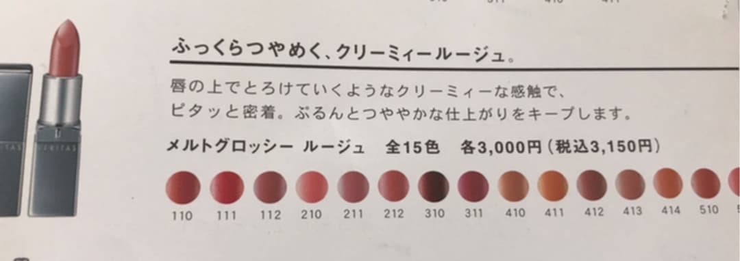 口紅　リップ　プロ用メイク　クリエ　13本　破格値