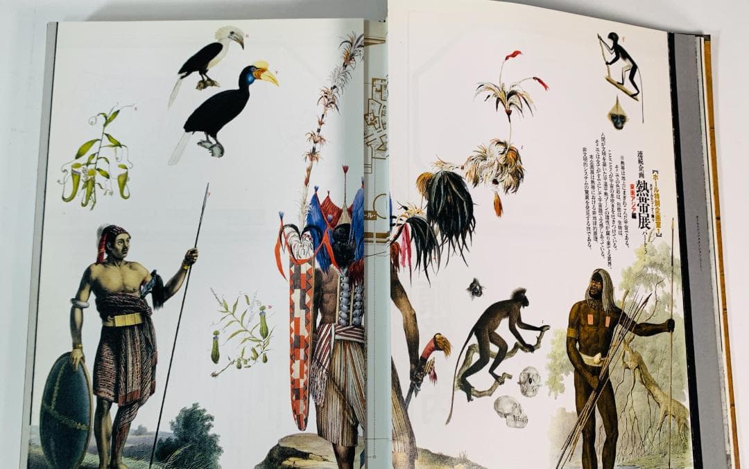 31年前の1993年◆「想像力博物館」　著者: 荒俣宏