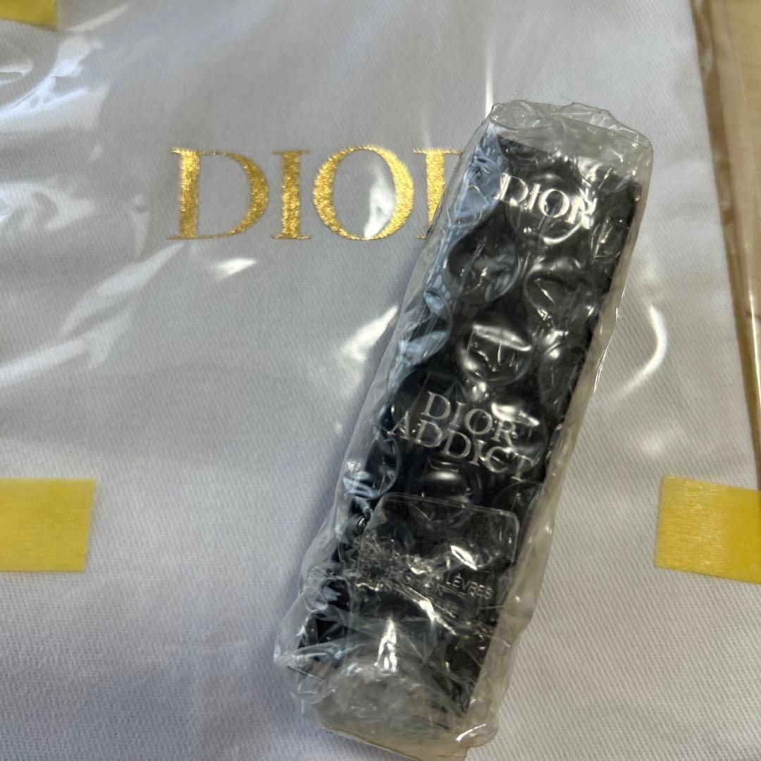 Dior ディオール　アディクトクチュール　リップケース　チュイルリー