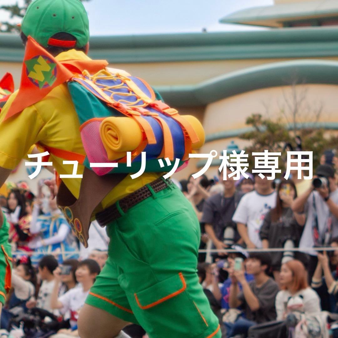 ＜チューリップ＞カールじいさん リュック