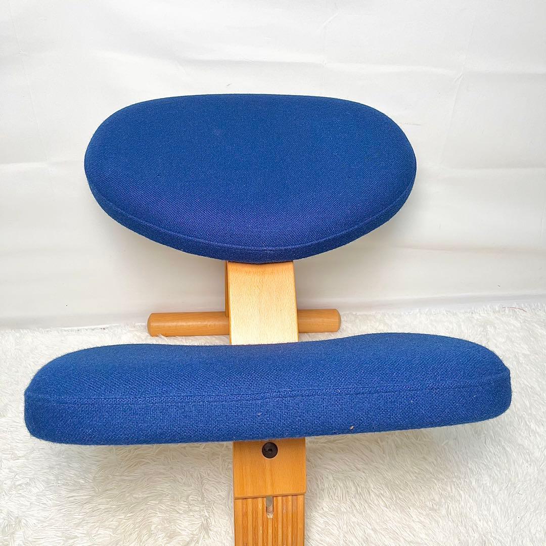 【良品】Rybo バランスイージー Balans EASY 姿勢サポートチェア