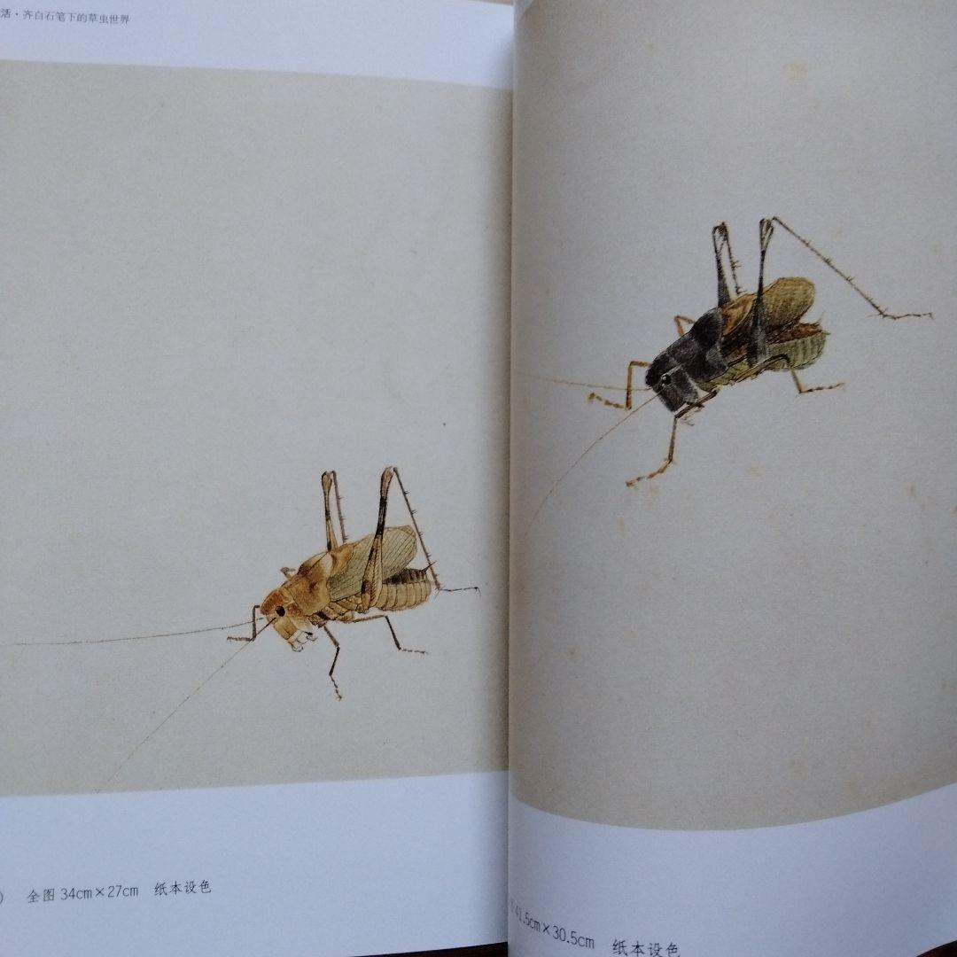 水墨画巨匠【草間偷活.斉白石草虫世界大型画集】北京画院編中国美術研究者の座右の書