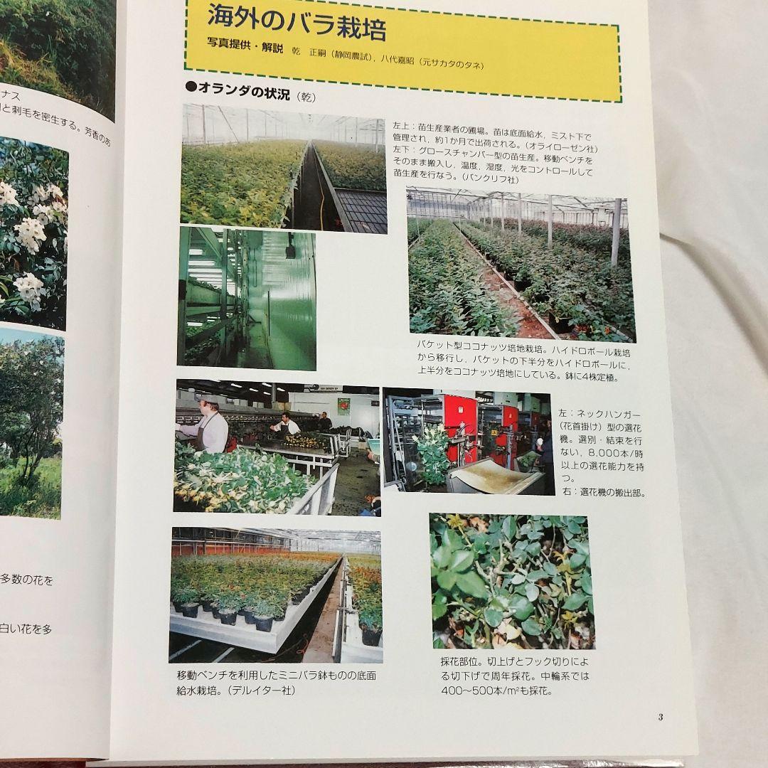 【希少！　初版！　美品】　花卉園芸大百科 10バラ　送料込み