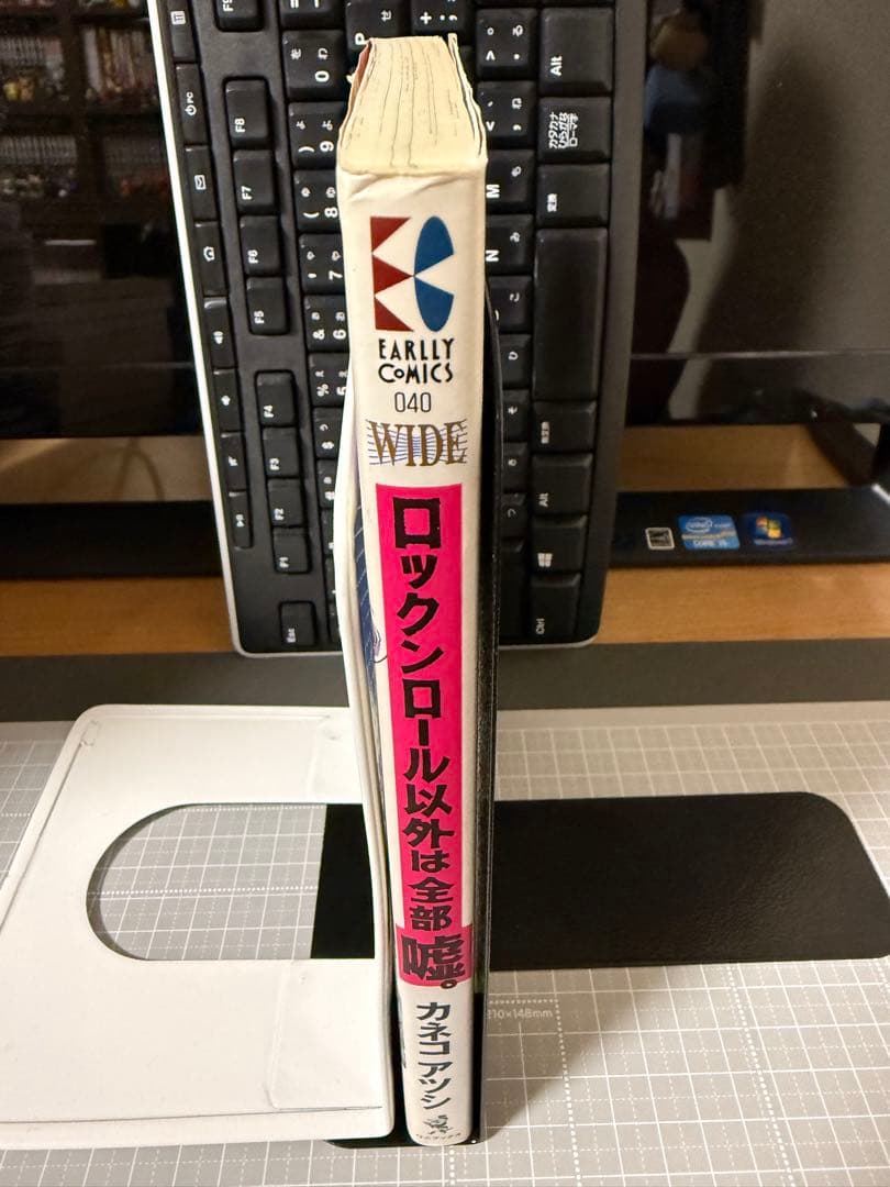 ロックンロール以外は全部嘘　カネコアツシ