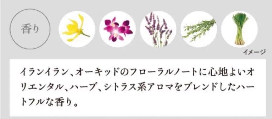 １名様特別　セルサート　ミラインシャンプー＆トリートメント　1L  スパリビット