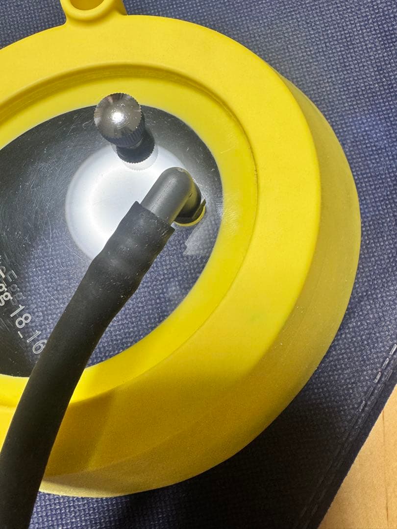 ペクタスエッグ