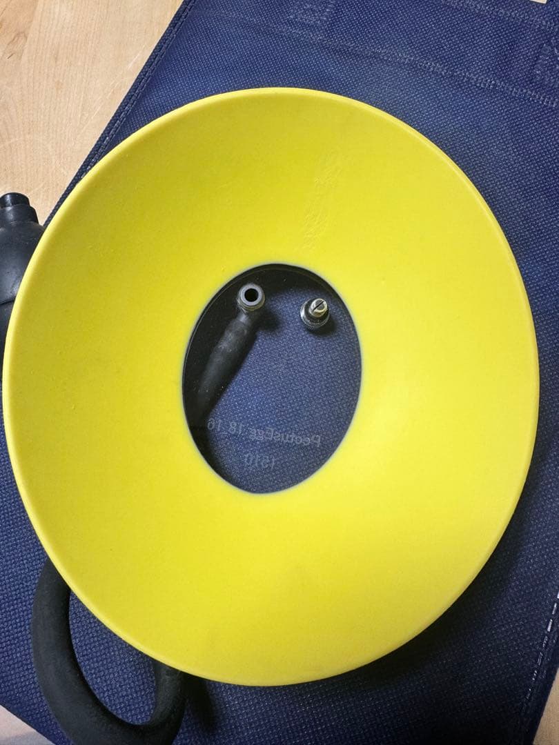 ペクタスエッグ