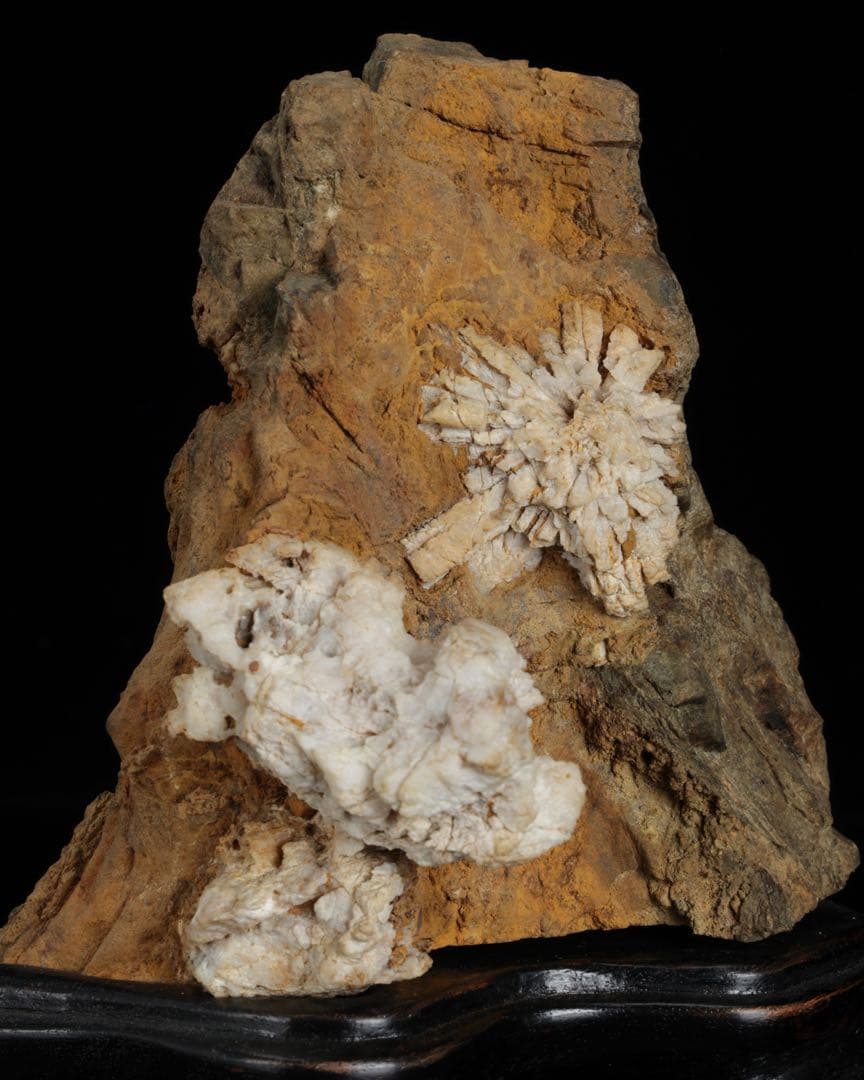 は*よ様 根尾川 菊花石 白菊 紋石 台座 共箱付 1.2kg 鑑賞石 原石 盆