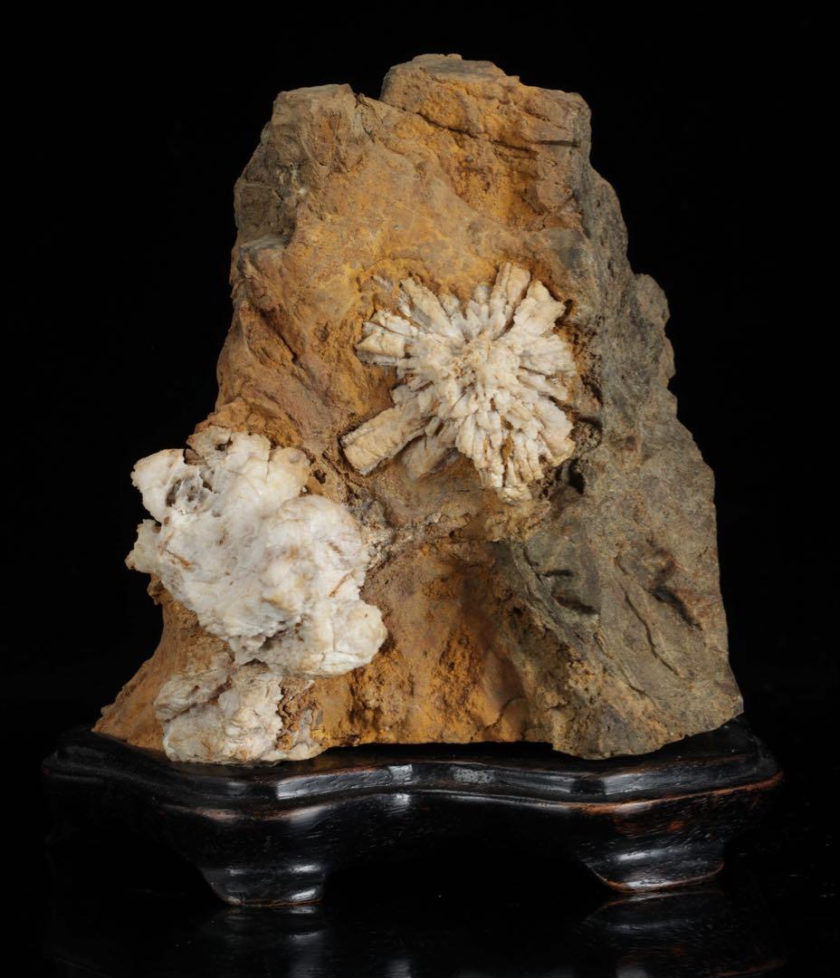 は*よ様 根尾川 菊花石 白菊 紋石 台座 共箱付 1.2kg 鑑賞石 原石 盆