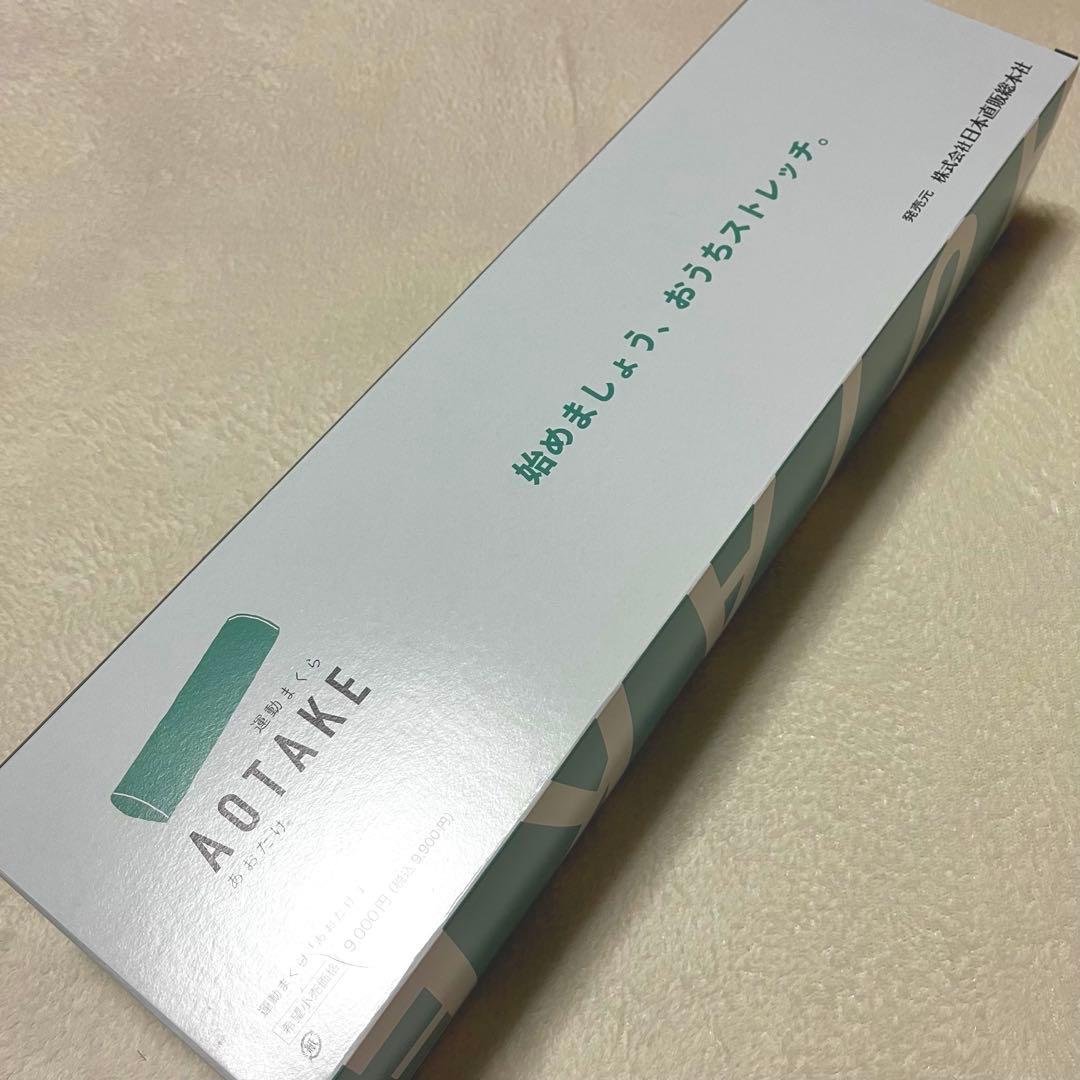 【美品！】あおたけ　運動枕