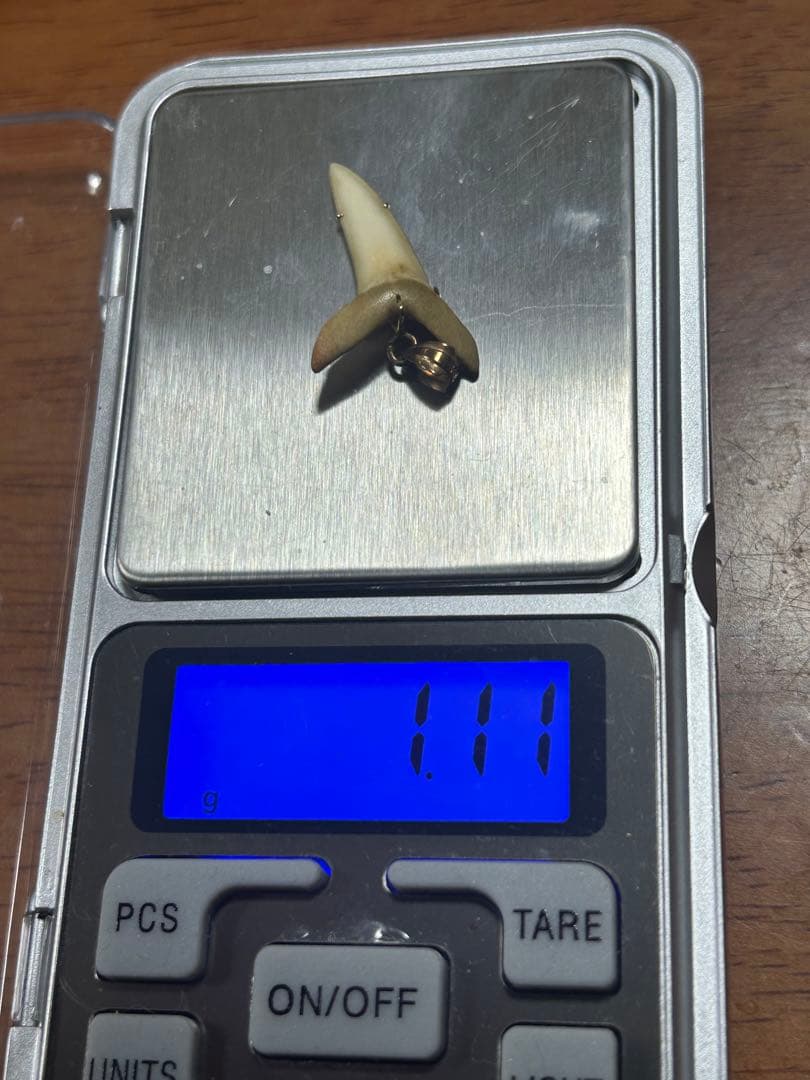 K18天然素材の歯ペンダント ゴールド装飾