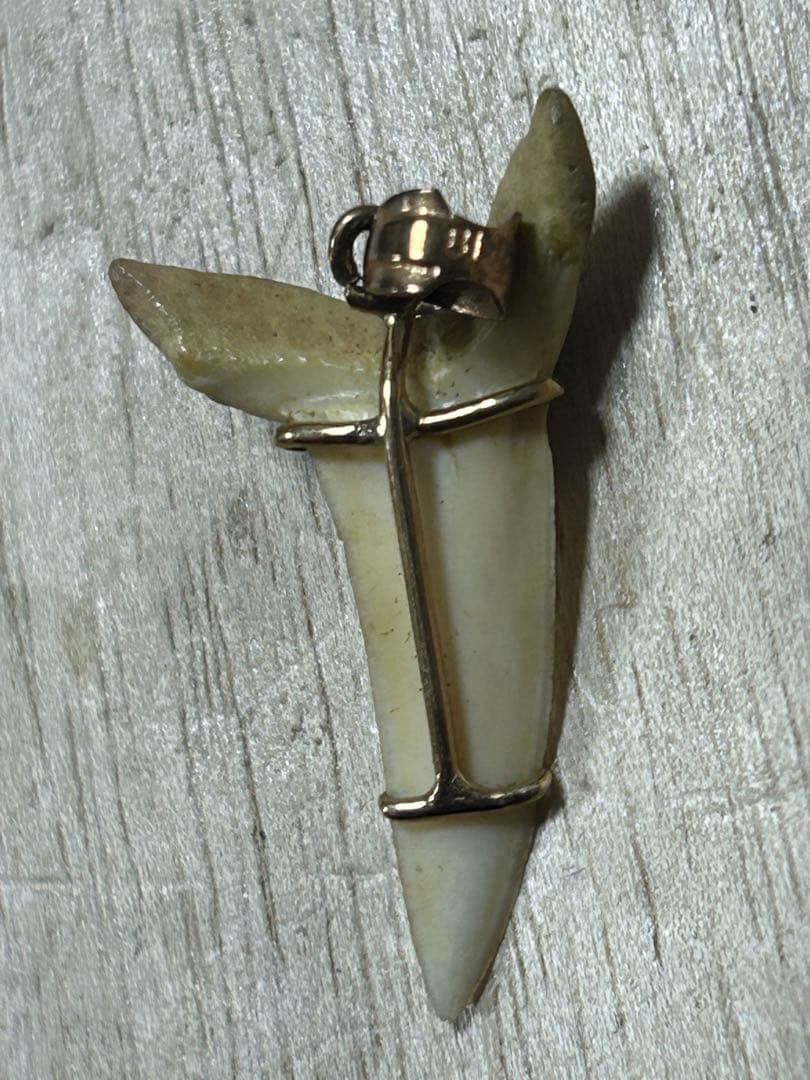 K18天然素材の歯ペンダント ゴールド装飾