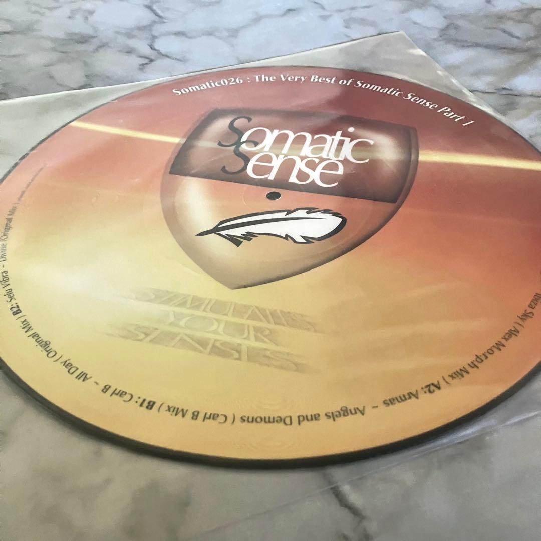 The Very Best of Somatic Sense Pt.1 希少レア