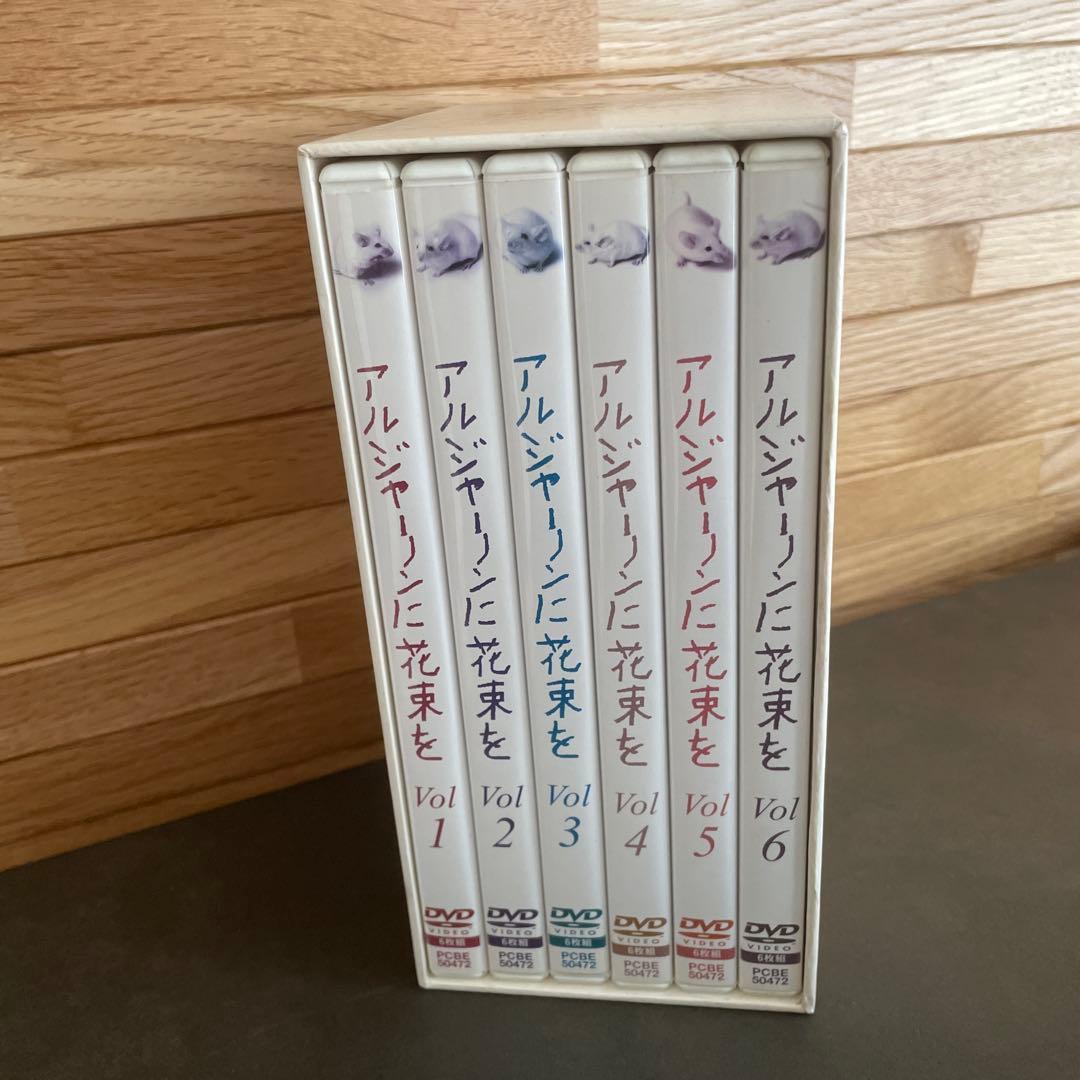 アルジャーノンに花束を DVD-BOX〈6枚組〉　ユースケ・サンタマリア主演