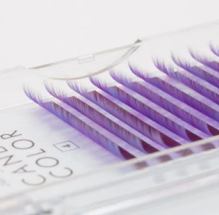 ミスアイドール 新品未使用 Cカール