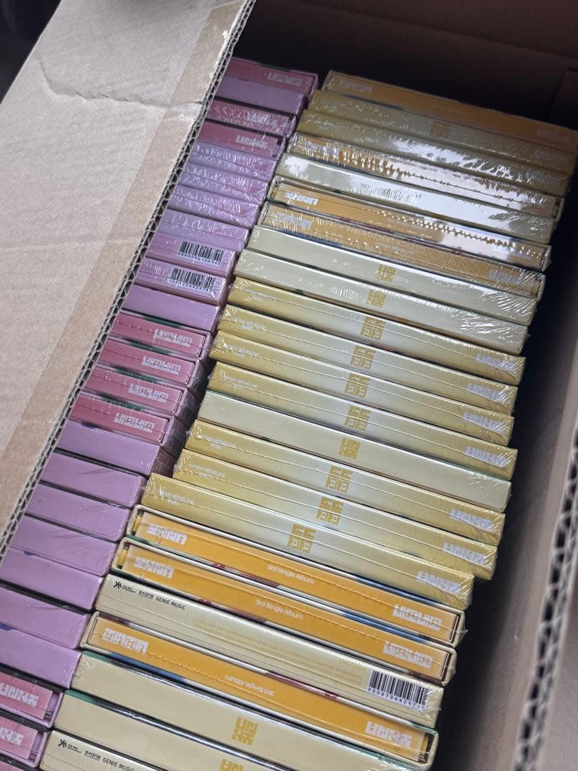 イェナ ネモネモ 一箱 50枚セット（各バージョン25枚ずつ）