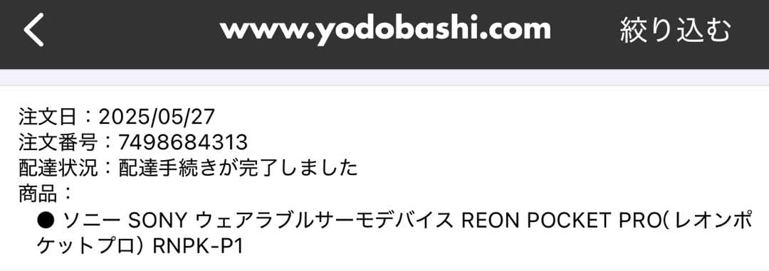 ✔️値下げ中　REON POCKET PRO (保証書に納品書も個人情報切取後同封