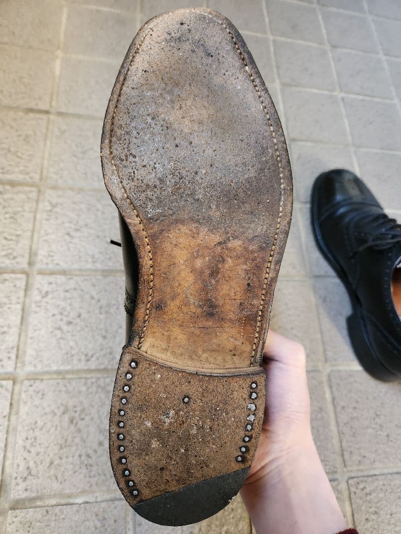 REGAL ブリティッシュコレクション セミブローグ