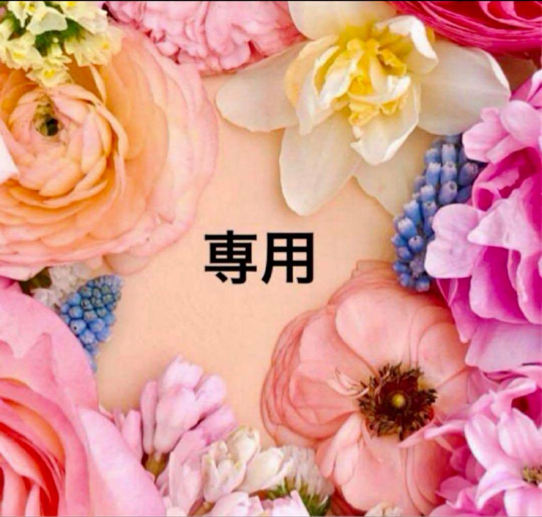 吸血鬼へ嫁入る日2 おまとめ専用