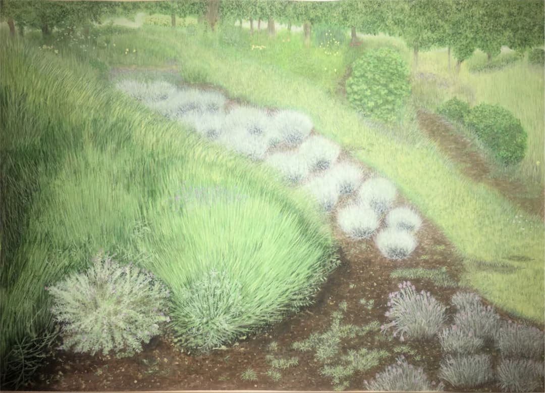 手書き イラスト   水彩   「綾瀬の夏」