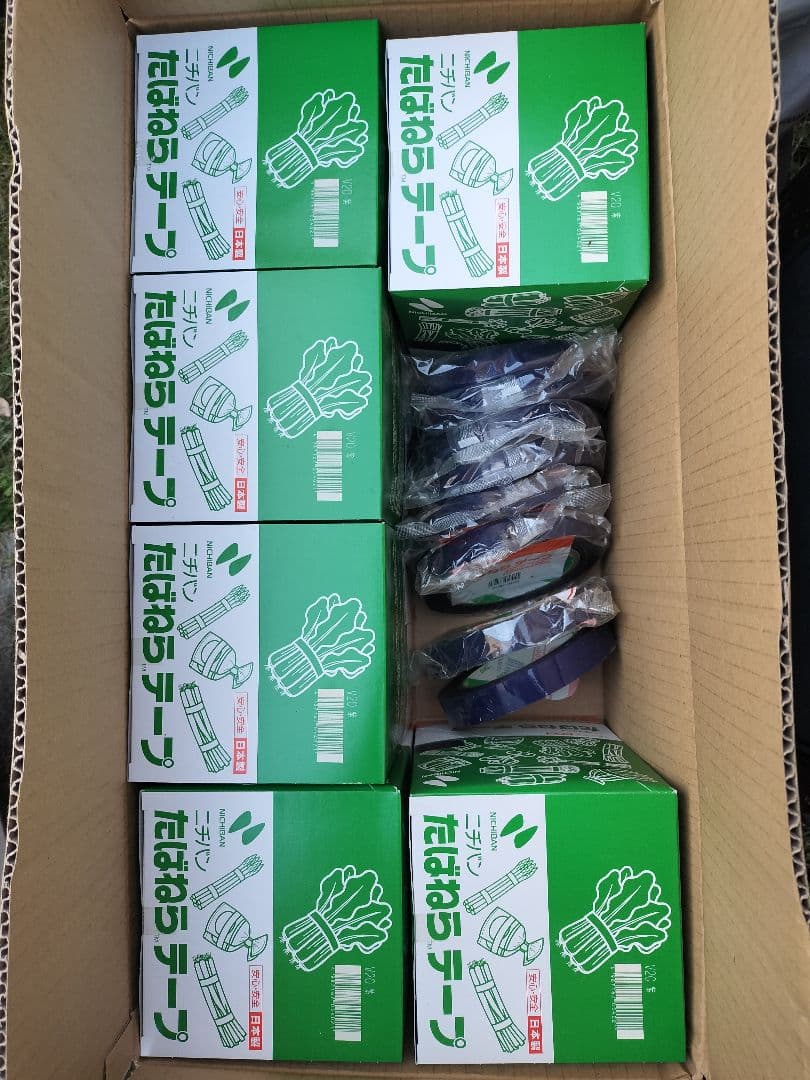 たばねらテープ無地67本