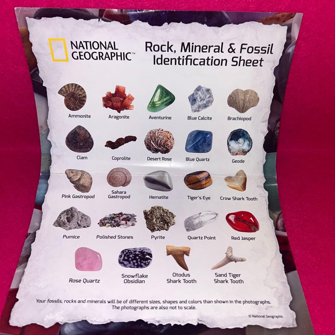 天然石　パワーストーン　化石　まとめ売り　ウッドボックス　貴石　ヒーリング　レア