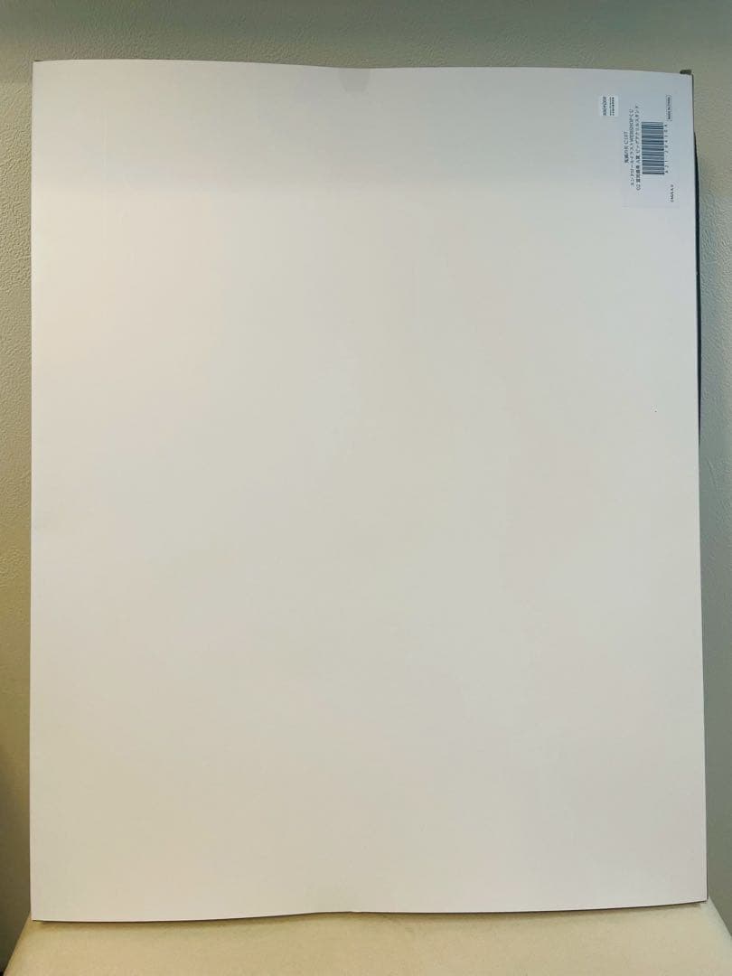 鬼滅の刃エンドロールイラストwebshopくじA賞ビッグアクリルスタンド冨岡義勇