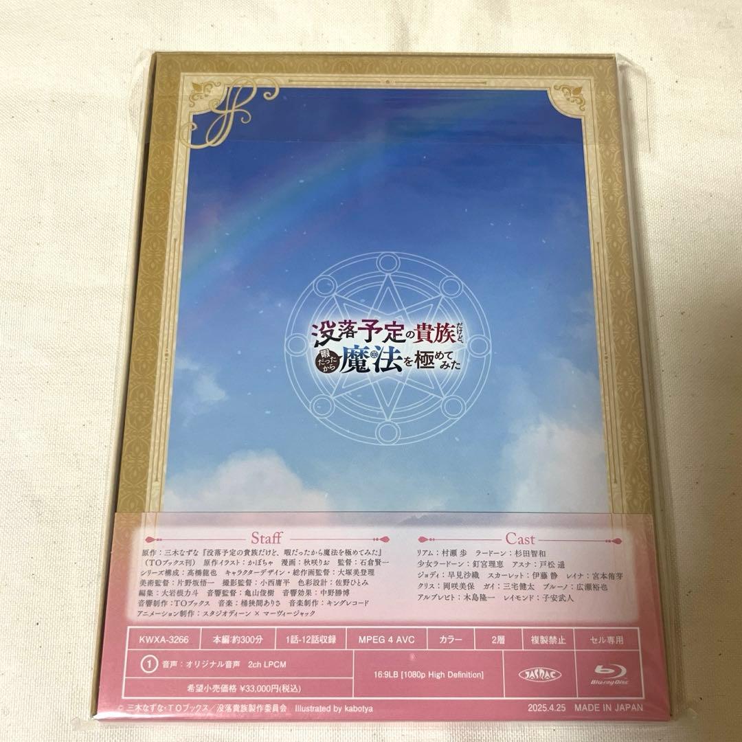 没落予定の貴族だけど,暇だったから魔法を極めてみた Blu-ray BOX〈2…